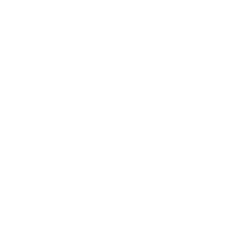 StGeorge logo
